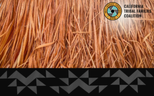 ICWA Avoidance: How and Why Entities Avoid ICWA